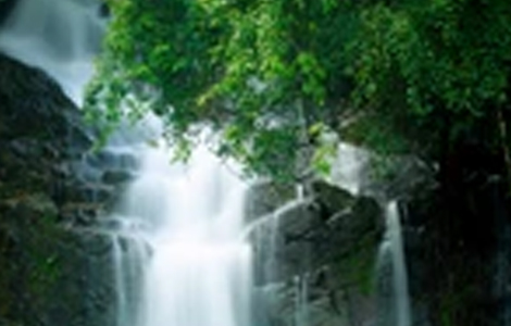 Valanjaganam Waterfall